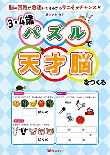 パズルで天才脳　.jpg